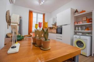 Orange apartment - Genoa City Center