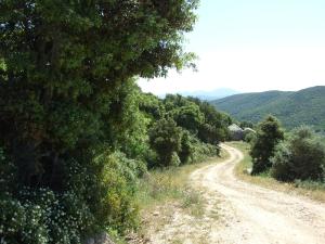 Stazzo San Trano