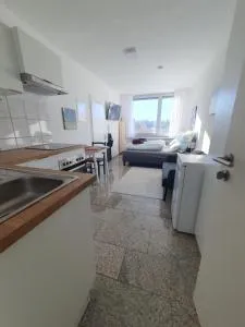 1-Zimmer-Wohnung-EG Fewo 2 Rupertsberg - Brigach