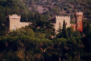 obrázek - Castello Borgia