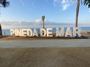 Apartamento a primera línea de Mar