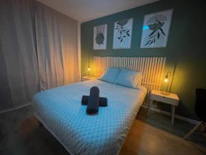 Appartements Hyper centre-BabyFoot-flechette : photos des chambres
