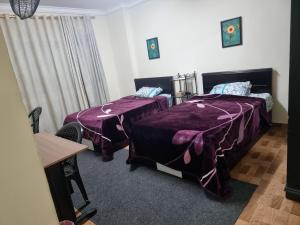 Cairo Nasr City - 15minutes from Airport - private single room with shared bathroom - غرفة مفردة خاصة مع حمام مشترك - chambre simple privée avec salle de bain partagée - одноместный отдельный номер ?