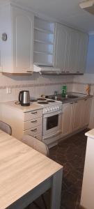 Asunto mh+k+ph+s+terassi 50m2