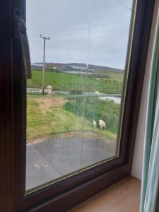 Malin Head - House - Sleeps 16 - Pet Friendly