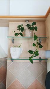 HB Downtown Sunny Apartman