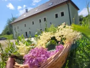 Penzion U Fořta - Jistebník