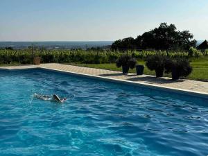 Villas Maison 8 personnes a 15 mn de bergerac : photos des chambres