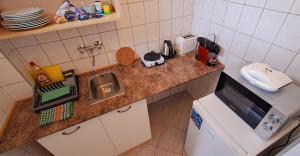 Napvirág - Közel mindenhez