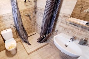 Napvirág - Közel mindenhez