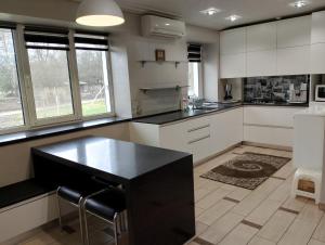 Apartment at Kvitka Polonyny