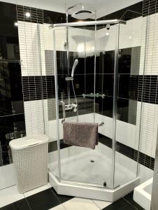 Apartment at Kvitka Polonyny