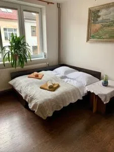 Apartmán POD LAMPOU - Jámy