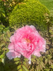B&B / Chambres d'hotes Le Domaine d'Etaville : photos des chambres