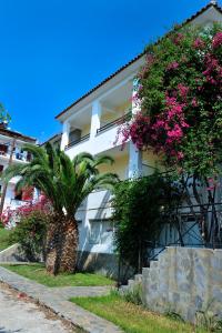 Ifigenia Hotel Skiathos Greece