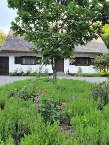 Reethouse Nature Resort - Pool Sauna Swimming pond
