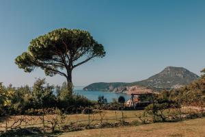 Talići Hill - Rustic Villas