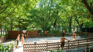 Campings Camping Rives du Lac de Sainte Croix : photos des chambres