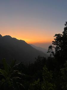 Nature Green Hotels On Rock Home Ella