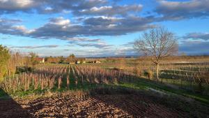 Appartements Oasis tout confort a Bergheim, Alsace : photos des chambres