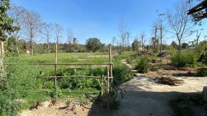 Nanus Bardiya Homestay