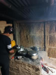 Nanus Bardiya Homestay