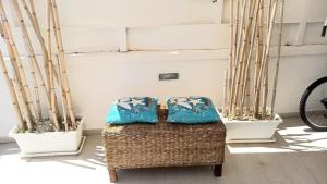 Trenta metri dal mare Caraibico