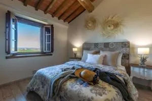 Sunflower con vista su Siena - Colle Malamerenda