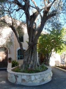 Hotels La Bastide de l'Oliveraie : photos des chambres