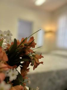 Load Shedding Free Studio Apartment