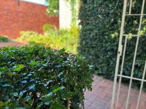 Load Shedding Free Studio Apartment