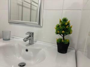 Load Shedding Free Studio Apartment