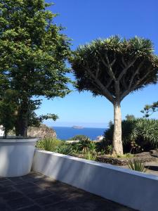 Casa do Monte - Garden & Sea sight