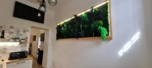 Viola Casa Vacanze - 圣塞巴斯蒂亚诺阿尔韦苏维奥