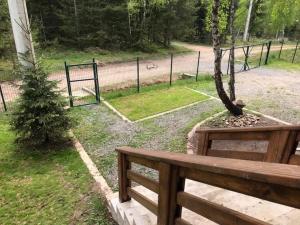 Cabana din padure si casutele din copac Belis