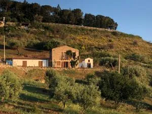 Orto Raccolto - 泰尔米尼伊梅雷塞