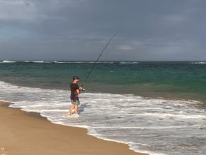 Hargraves Beach Cottage 50 meters to the beach