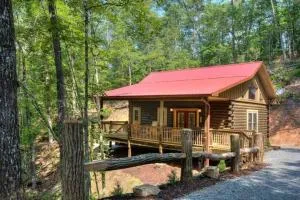Honeymoon Getaway in woods near NOC and Smoky Mtn RR - Maple Springs