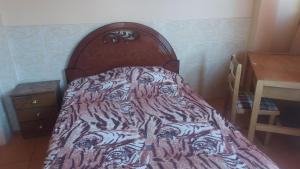 Estudio acogedor y confortable