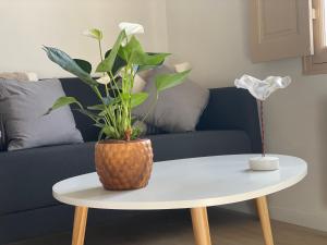 Le Mini - Un voyage en Provence