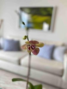 Apartamento frente al Mar Cartagena