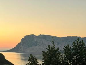 Punta Est - Mono SCIROCCO 300m Dal Mare img44
