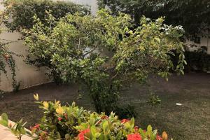 CASA DE PRAIA NO CONDOMÍNIO PARAÍSO, GUARAJUBA