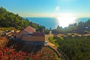 Isolated apartments with a swimming pool Cove Tvrdni Dolac, Hvar - 6112