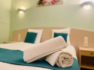 Hotels Hotel Les Demoiselles : photos des chambres