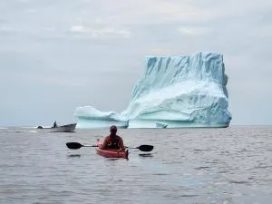 Seaclusion Twillingate - Springdale