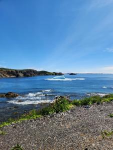 Seaclusion Twillingate