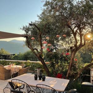 Maisons d'hotes Mas de Provence en Riviera : photos des chambres