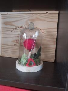 Mon top appart rien quà vous