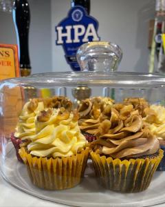 The Open Ditch Apartment